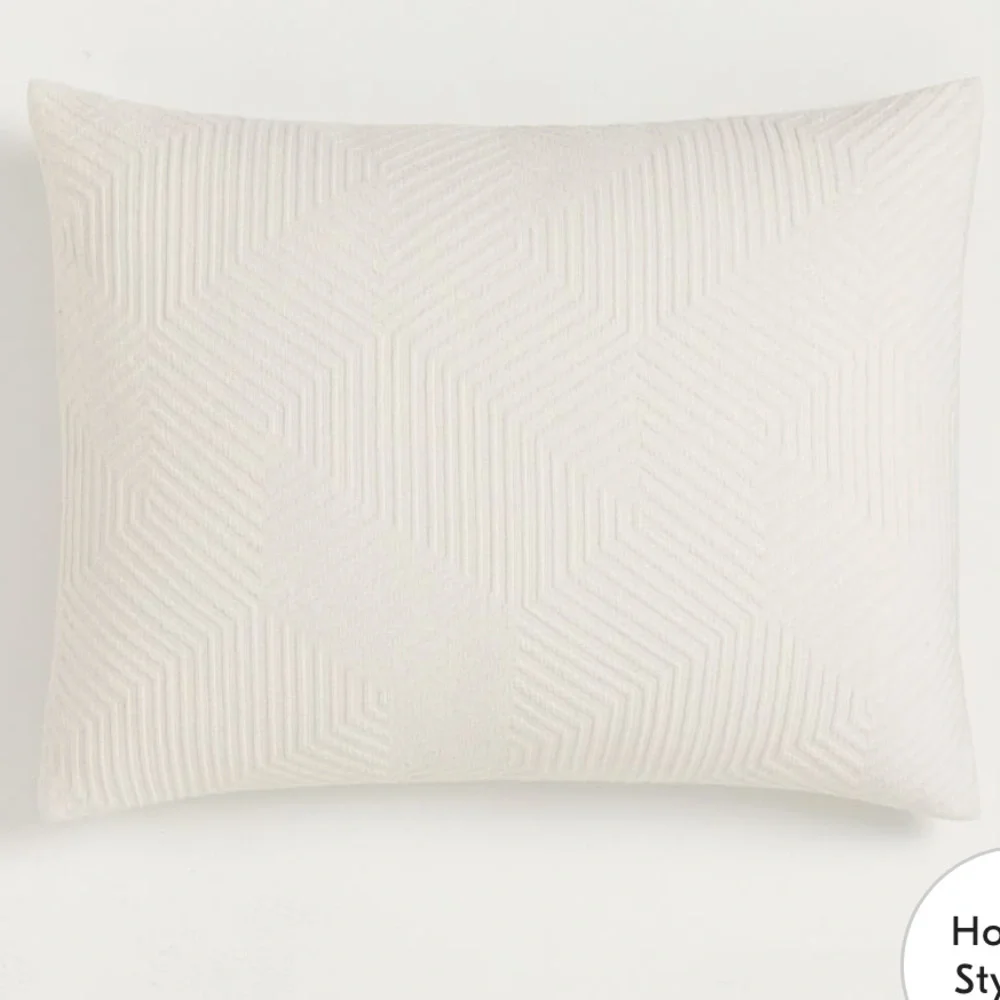West Elm Modern Geo Sham - Standard in Alabaster